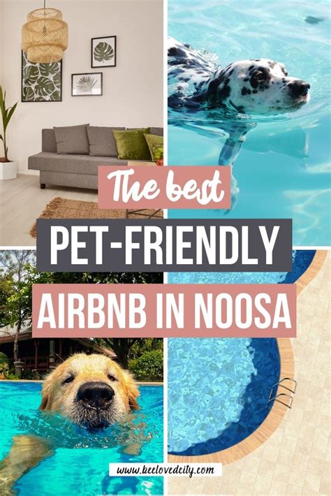 airbnb pet friendly